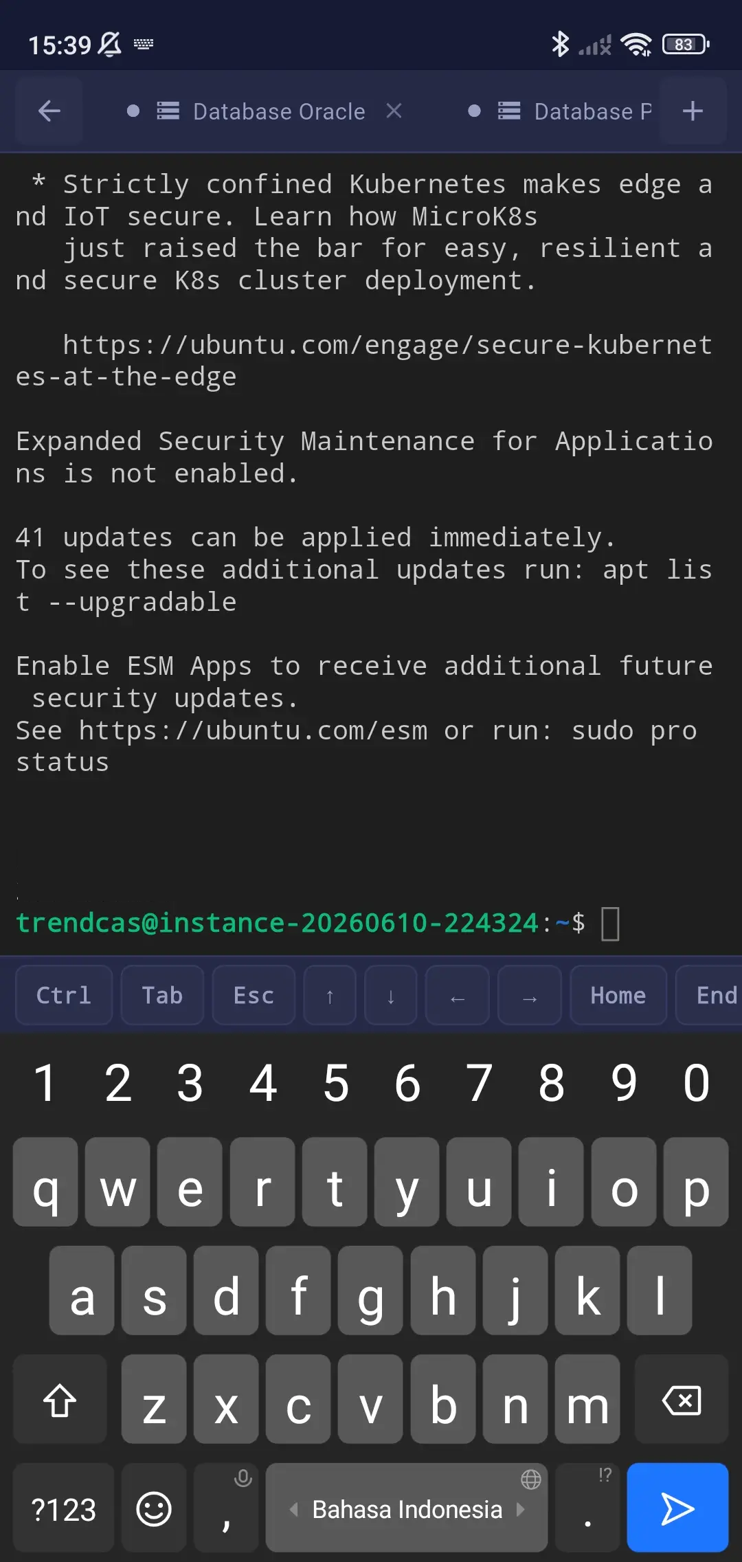 SSH Terminal View 2