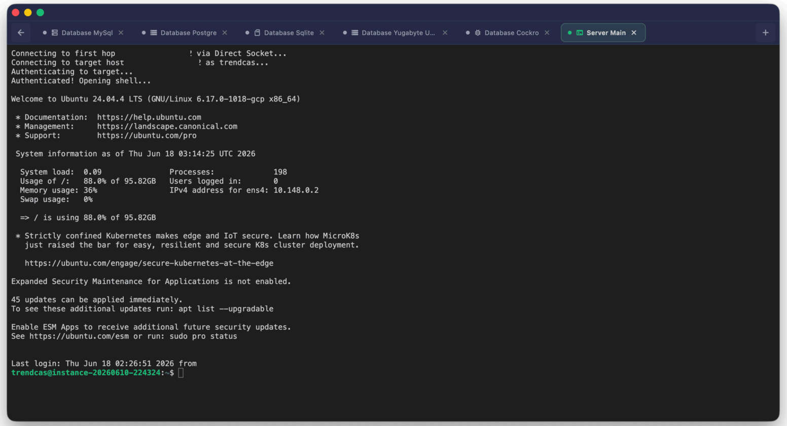 SSH Terminal View 1